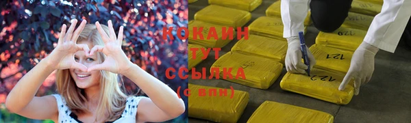 тгк Белокуриха