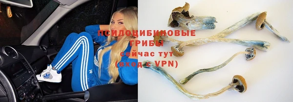 COCAINE Богородск