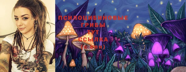 тгк Белокуриха