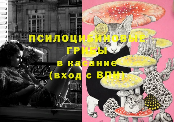соль курить ск Богданович