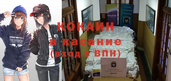прущие грибы Богородицк