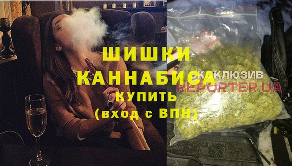прущие грибы Богородицк