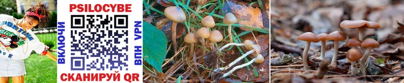 Галлюциногенные грибы Magic Shrooms  blacksprut ссылки  Буинск 